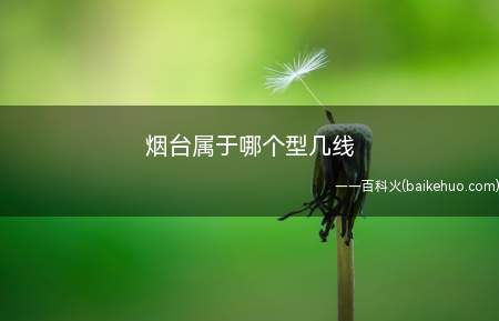 烟台属于哪个型几线（烟台属于沿海城市,是二线城市）