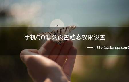 手机QQ怎么设置动态权限设置(腾讯手机版QQ设置教程)