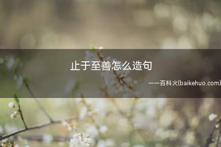 止于至善怎么造句