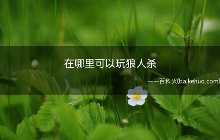 在哪里可以玩狼人杀(如何在手机上玩狼人杀)