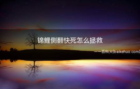 锦鲤侧翻快死怎么拯救