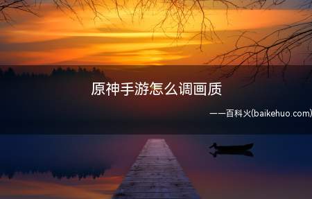 原神手游怎么调画质(手动调整“图像”中的其他设置即可)
