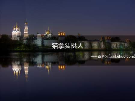 猫拿头拱人(猫咪拿头拱人,因为喜欢主人)