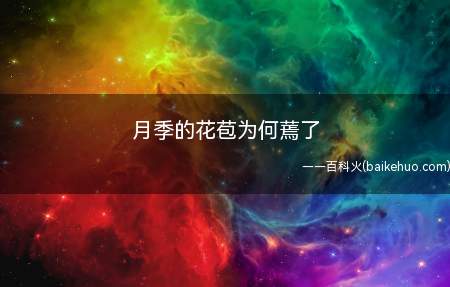 月季的花苞为何蔫了(月季花苞蔫了的原因有很多)
