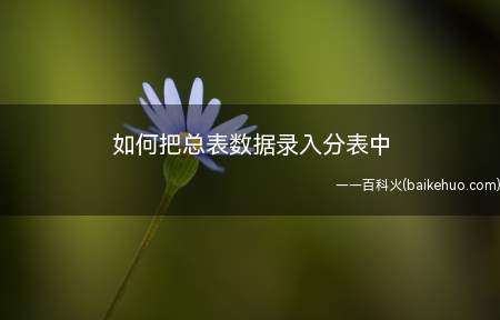 如何把总表数据录入分表中（数据透视表计算各中心奖金）