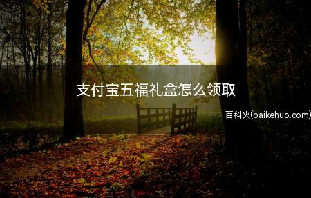 支付宝五福礼盒怎么领取