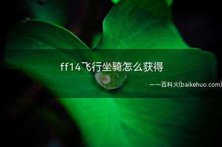 ff14飞行坐骑怎么获得