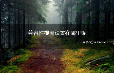 兼容性视图设置在哪里呢(兼容性视图设置在哪里可以找到)