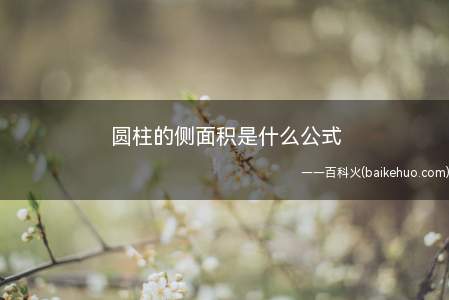 圆柱的侧面积是什么公式(圆柱的侧面积的公式是底面周长×高)