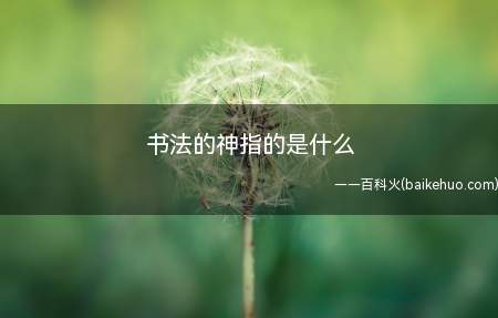 书法的神指的是什么
