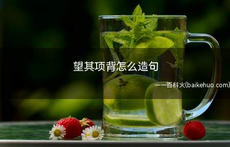 望其项背怎么造句