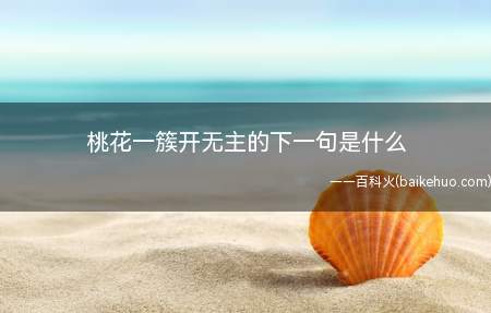 桃花一簇开无主的下一句是什么