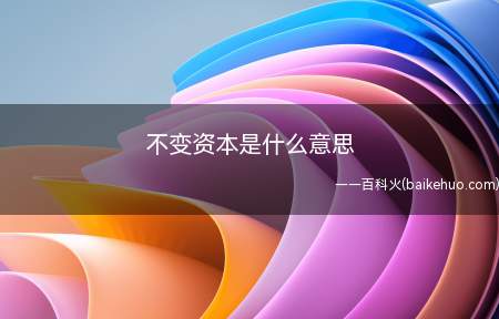 不变资本是什么意思