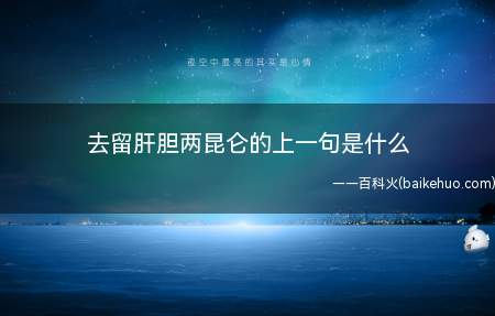 去留肝胆两昆仑的上一句是什么