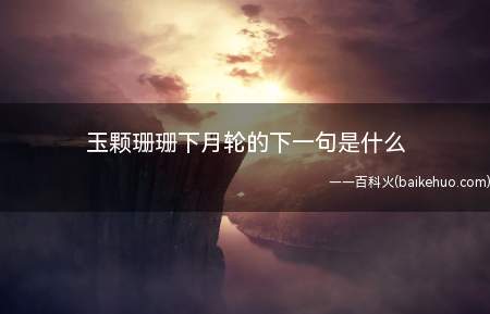 玉颗珊珊下月轮的下一句是什么