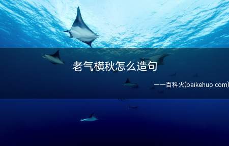 老气横秋怎么造句