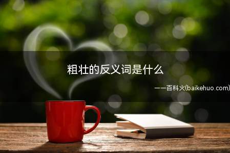 粗壮的反义词是什么