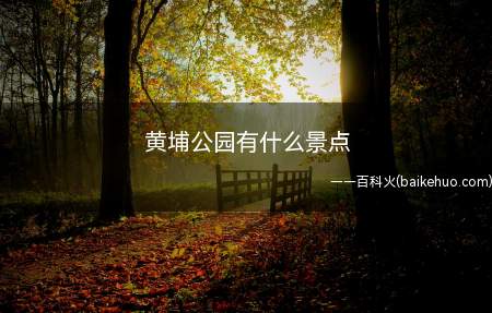 黄埔公园有什么景点(黄埔公园景点只有人民英雄纪念碑)