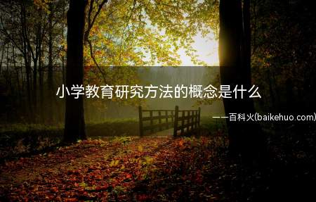 小学教育研究方法的概念是什么(小学教育研究方法的概念)