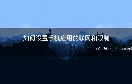 如何设置手机应用的联网和限制(小米手机如何限制应用联网)