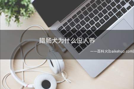 腊肠犬为什么没人养（腊肠犬没人养的原因）