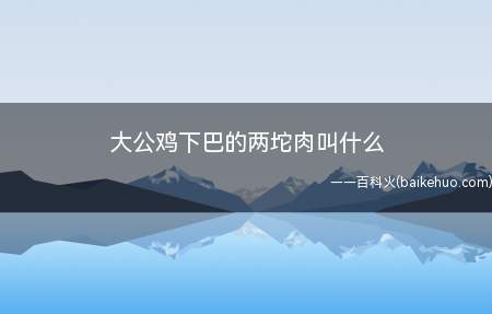 大公鸡下巴的两坨肉叫什么(大公鸡下巴的两坨肉叫“胡”)