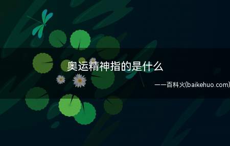 奥林匹克运动会精神:公平竞争、互相理解、友谊原则和奋斗原则