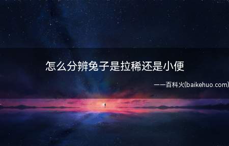 兔子拉稀的时候,会精神沉郁,不爱吃东西,主人应带它及时就医