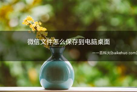微信文件怎么保存到电脑桌面(华为p40pro,iPhone12Pro)