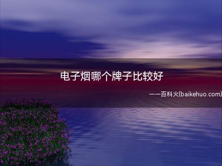 电子烟哪个牌子比较好