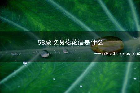 58朵玫瑰花花语是什么(58朵玫瑰花花语是我愿意把我的心托付给你)