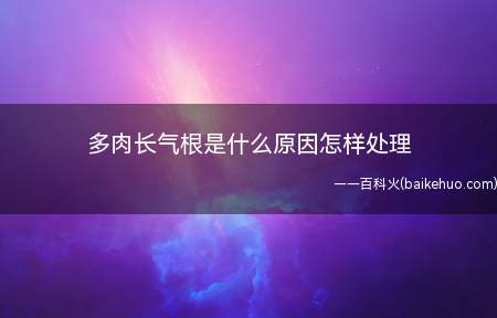 多肉长气根是什么原因怎样处理(多肉长气根的原因及解决方法)
