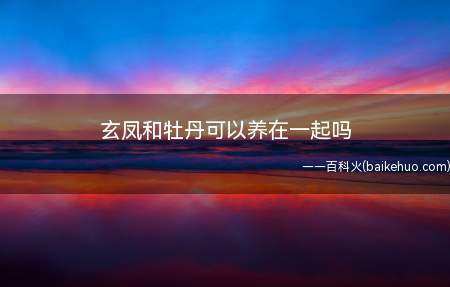 玄凤和牡丹可以养在一起吗（玄凤和牡丹不可以养在一起）