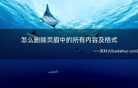怎么删除页眉中的所有内容及格式（华为MateBook X系统）