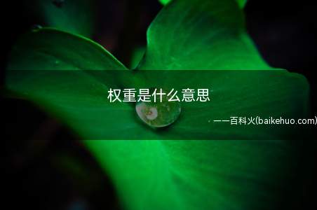 权重是什么意思