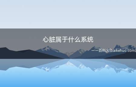 心脏属于什么系统(心脏在循环系统中作为血液循环的动力器官)
