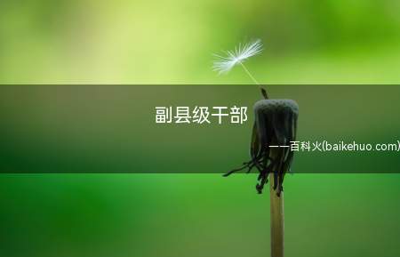 副县级干部(副县级干部是指一个公务员级别)