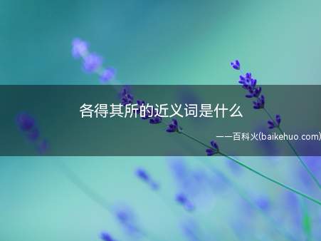 各得其所的近义词是什么