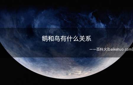 鹅和鸟有什么关系(鸟纲是脊椎动物亚门的一纲)