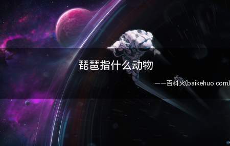 “琵琶”二字中的“珏”意为“二玉相碰,发出悦耳碰击声”