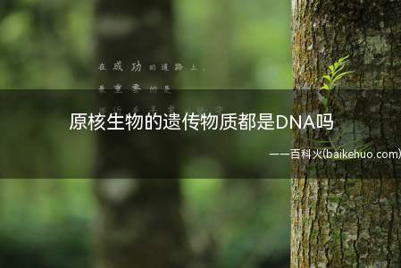 原核生物的遗传物质都是DNA吗(原核细胞的遗传物质都是dna)
