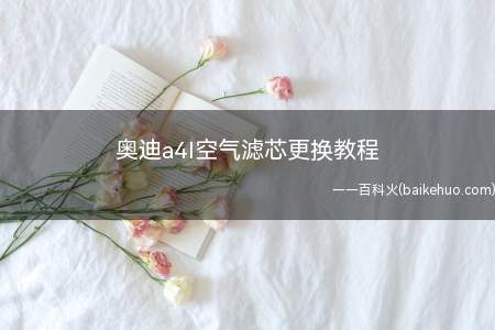 奥迪a4l空气滤芯更换教程(空气滤芯壳体上罩盖的螺丝拧松)