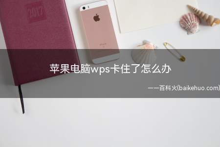 苹果电脑wps卡住了怎么办(option command esc强制退出应用)