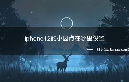 iphone12的小圆点在哪里设置(演示机型:Iphone 12系统)