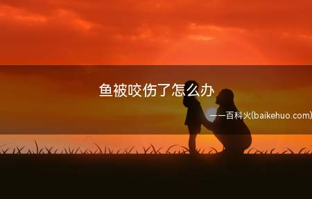 这里以家里鱼缸养的鱼为例,介绍鱼平常受伤,滋生霉菌,长白点的