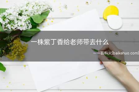 一株紫丁香给老师带去什么(一株紫丁香,是孩子们的一片心意)