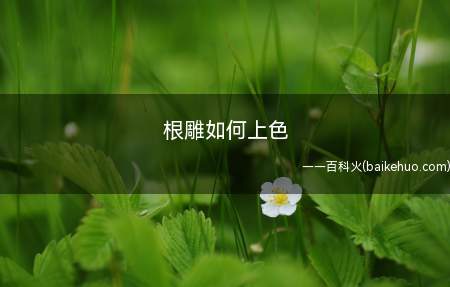 一件根艺作品在制作工艺的处理上,比较重视上色,使其多姿多彩