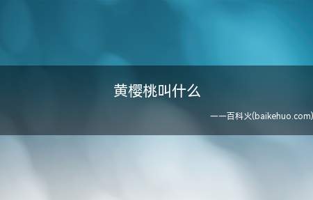 黄樱桃叫什么(黄樱桃有多个品种,例如黄蜜,红灯,早红,美早等)