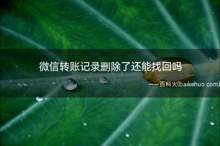 微信转账记录删除了还能找回吗(演示机型:Iphone 12系统)