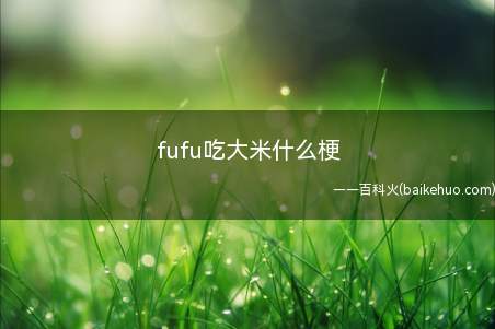 fufu吃大米什么梗是什么意思(fufu吃大米是初音傻)